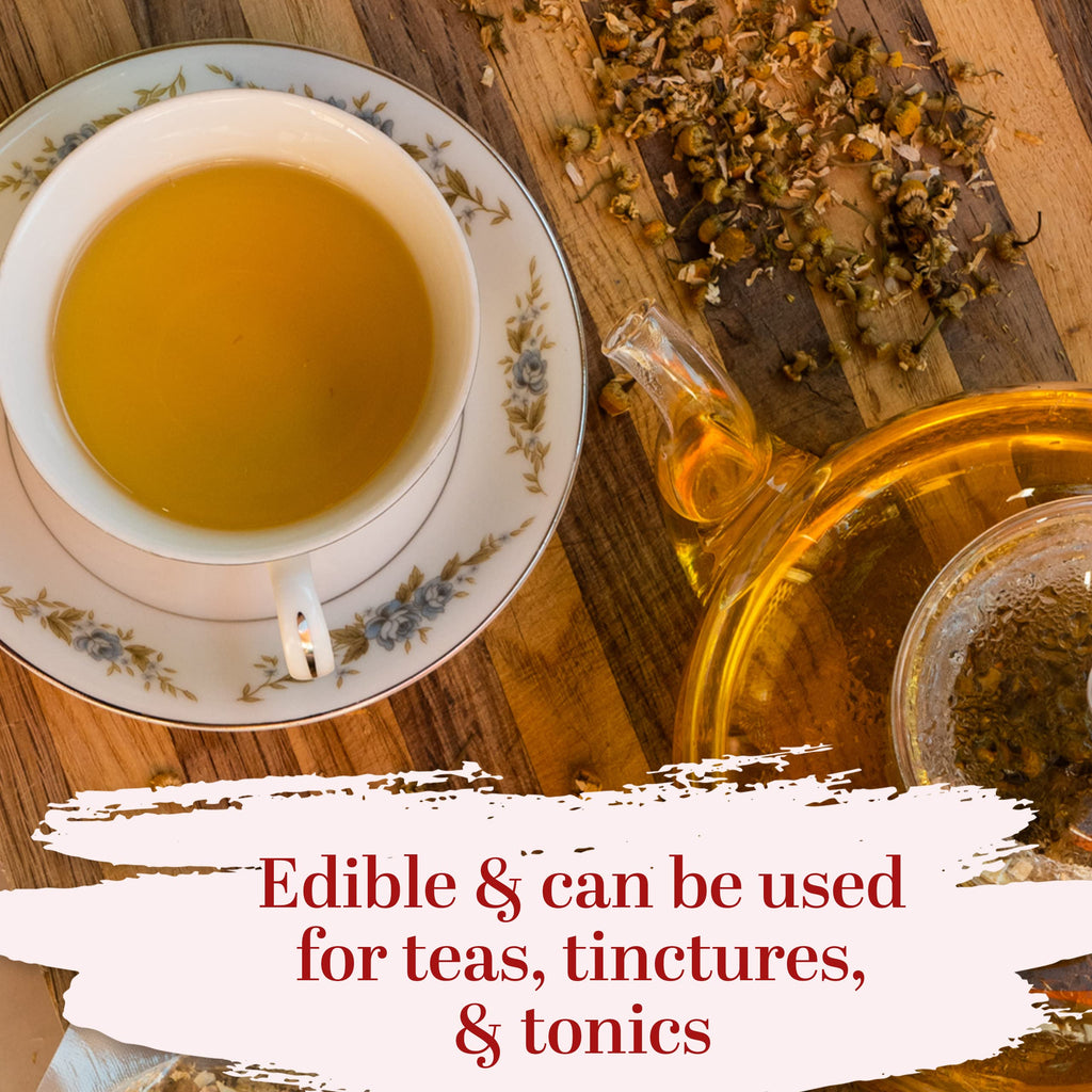 Better Shea Butter Dried Chamomile Flowers Bulk – Edible Tea & DIY Botanicals