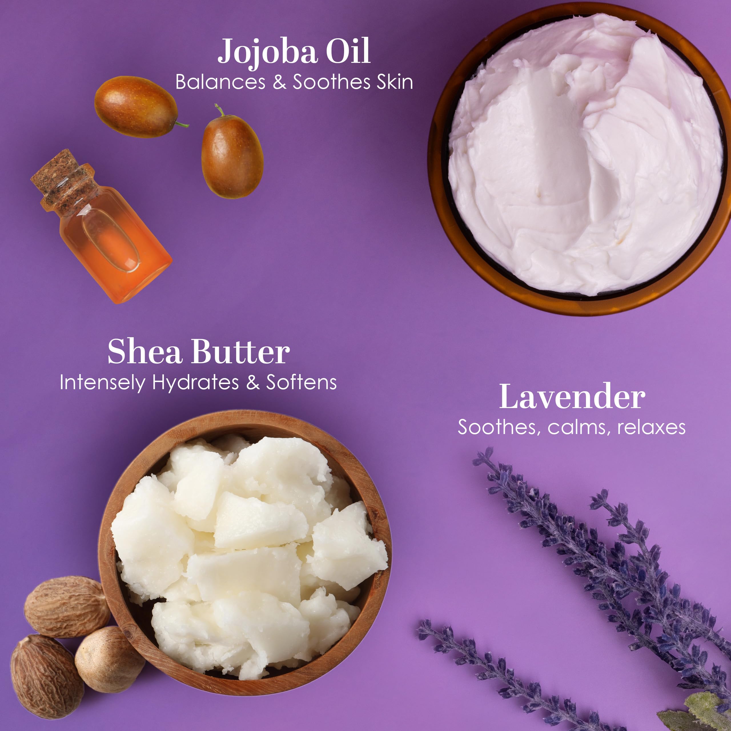 Better Shea Butter Lavender Body Butter – Non-Greasy Moisturizer with Shea & Jojoba