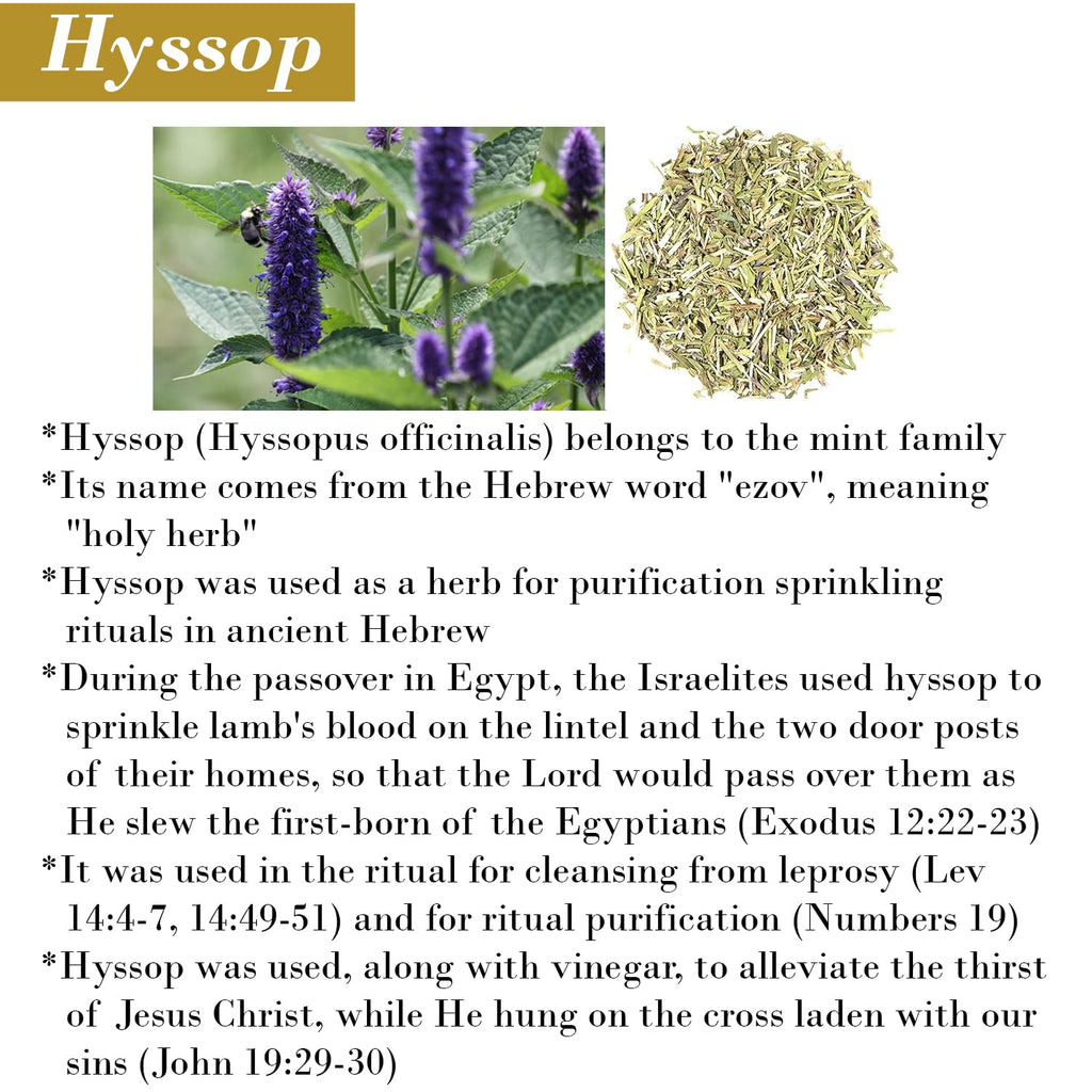 BIBLE N Beautyoils Hyssop Hair & Body Wash – Natural Cleanse