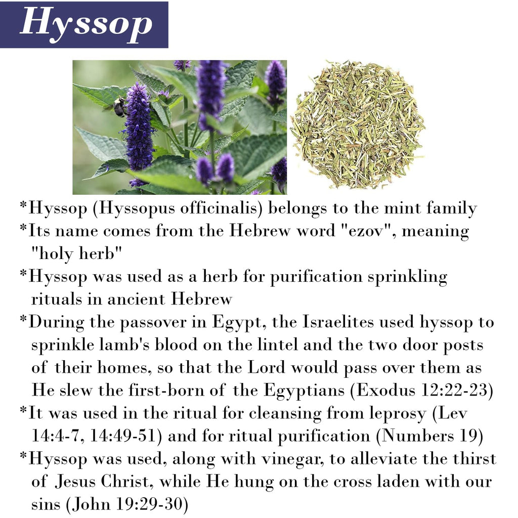 BIBLE N Beautyoils Cleanse Me With Hyssop – Organic Hyssop Hair & Body Wash