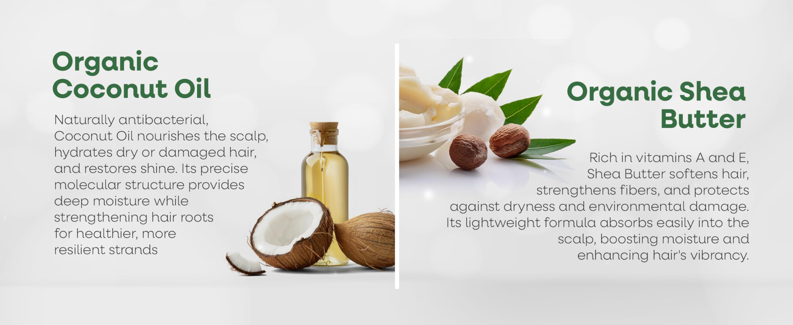 Bio Botanic Oil Range – Magic Conditioner for Color-Treated, Dry & Damaged Hair