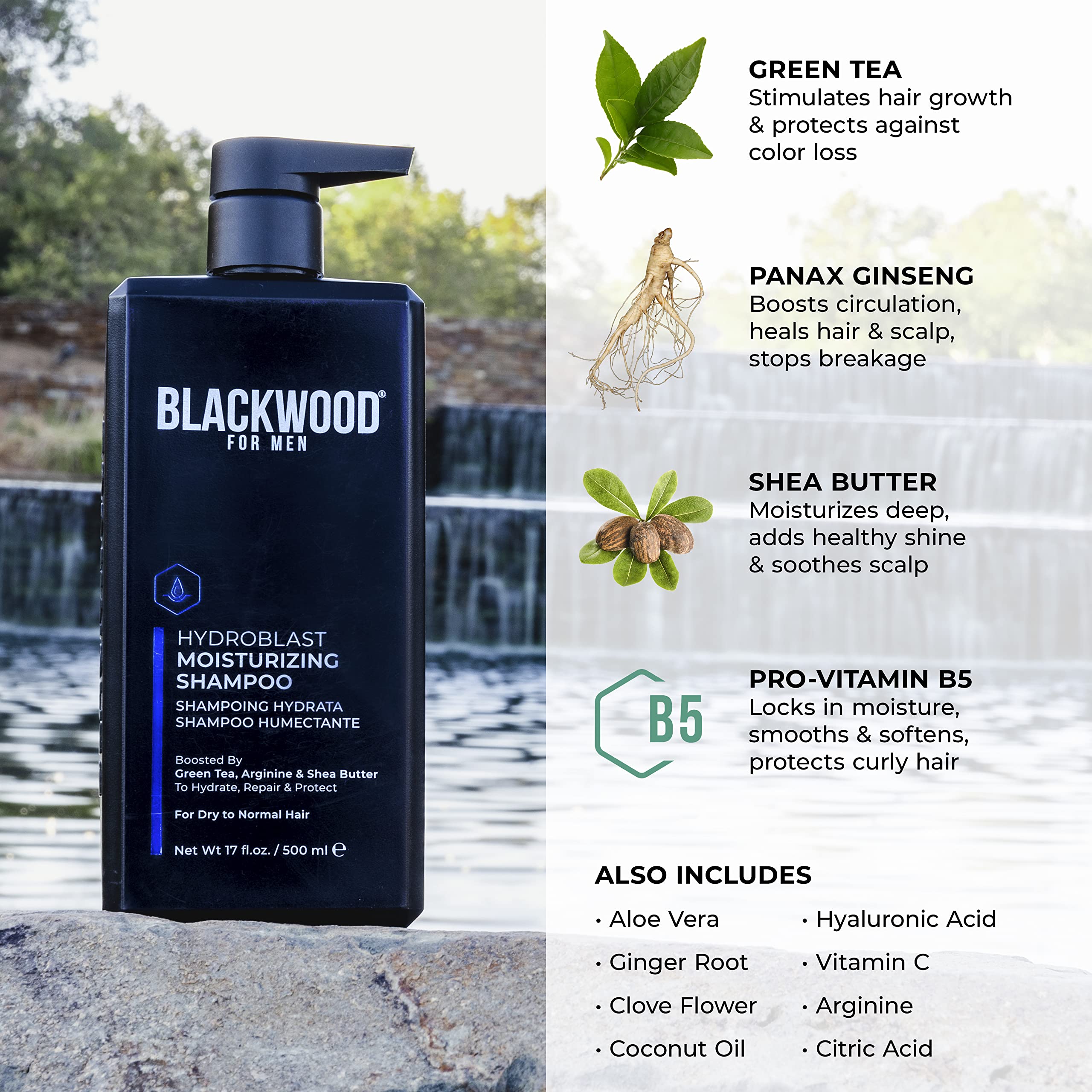 Blackwood For Men Hydroblast Moisturizing Shampoo – For Coarse, Dry & Curly Hair • Vegan, Sulfate-Free