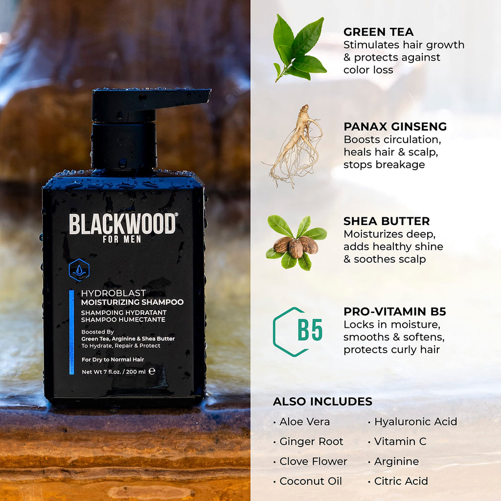 Blackwood For Men Hydroblast Moisturizing Shampoo – For Coarse, Dry & Curly Hair | Ginseng & Ginger | Vegan, Sulfate-Free (7 Oz)