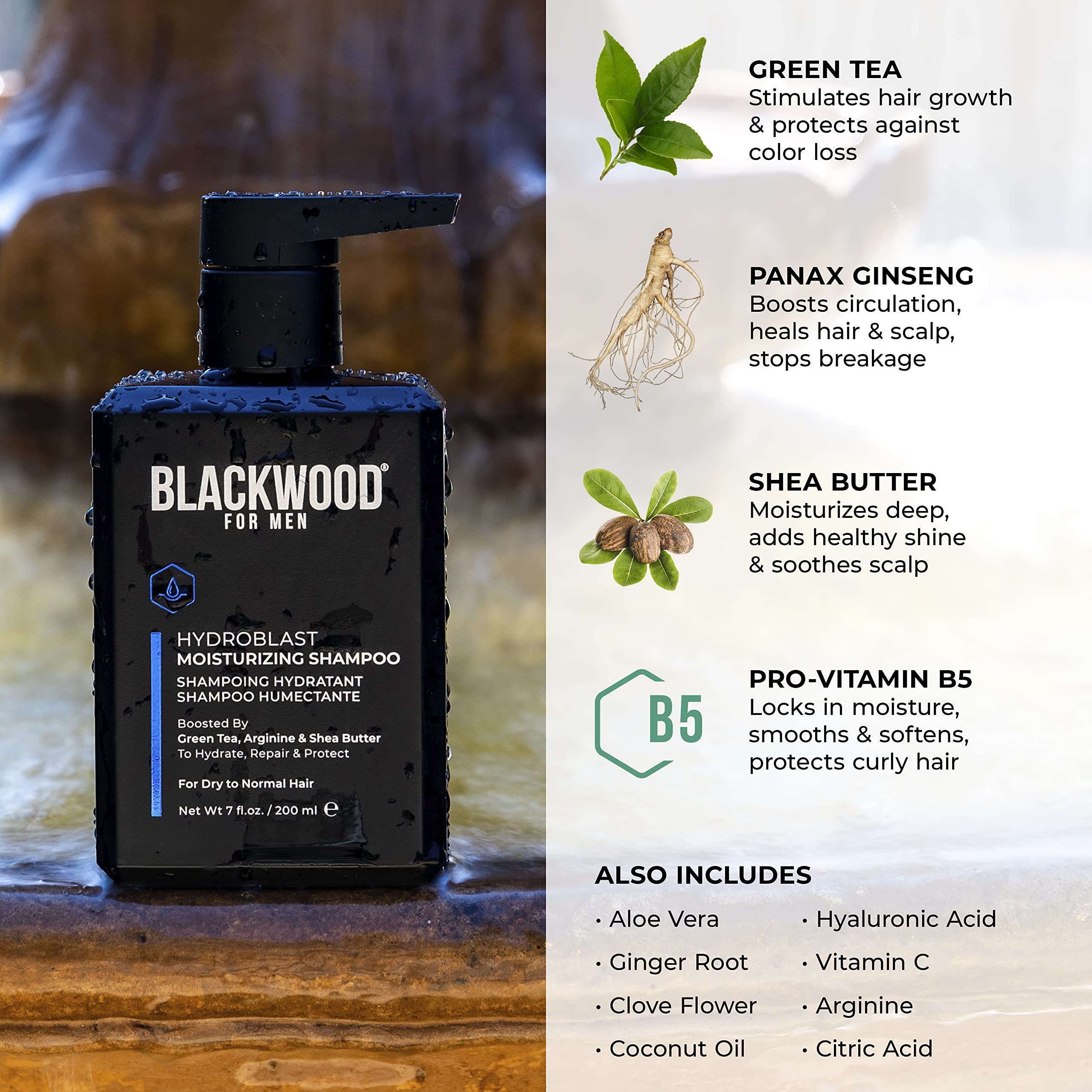 Blackwood For Men Hydroblast Moisturizing Shampoo – For Coarse, Dry & Curly Hair | Ginseng & Ginger | Vegan, Sulfate-Free (7 Oz)