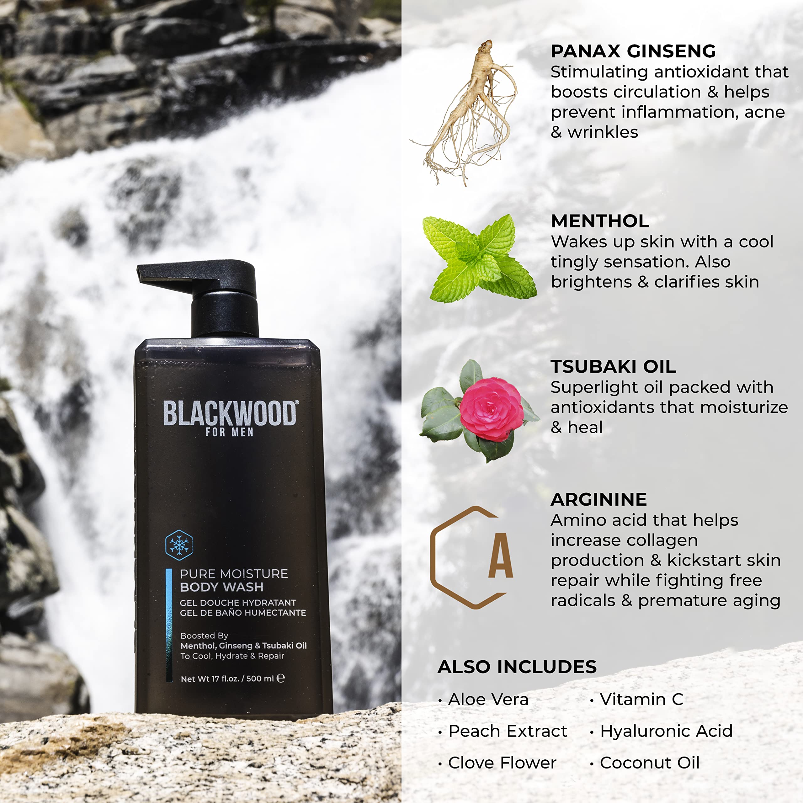 Blackwood For Men Pure Moisture Body Wash – Ginseng, Menthol, Sulfate Free, 17oz | Vegan & Dye Free