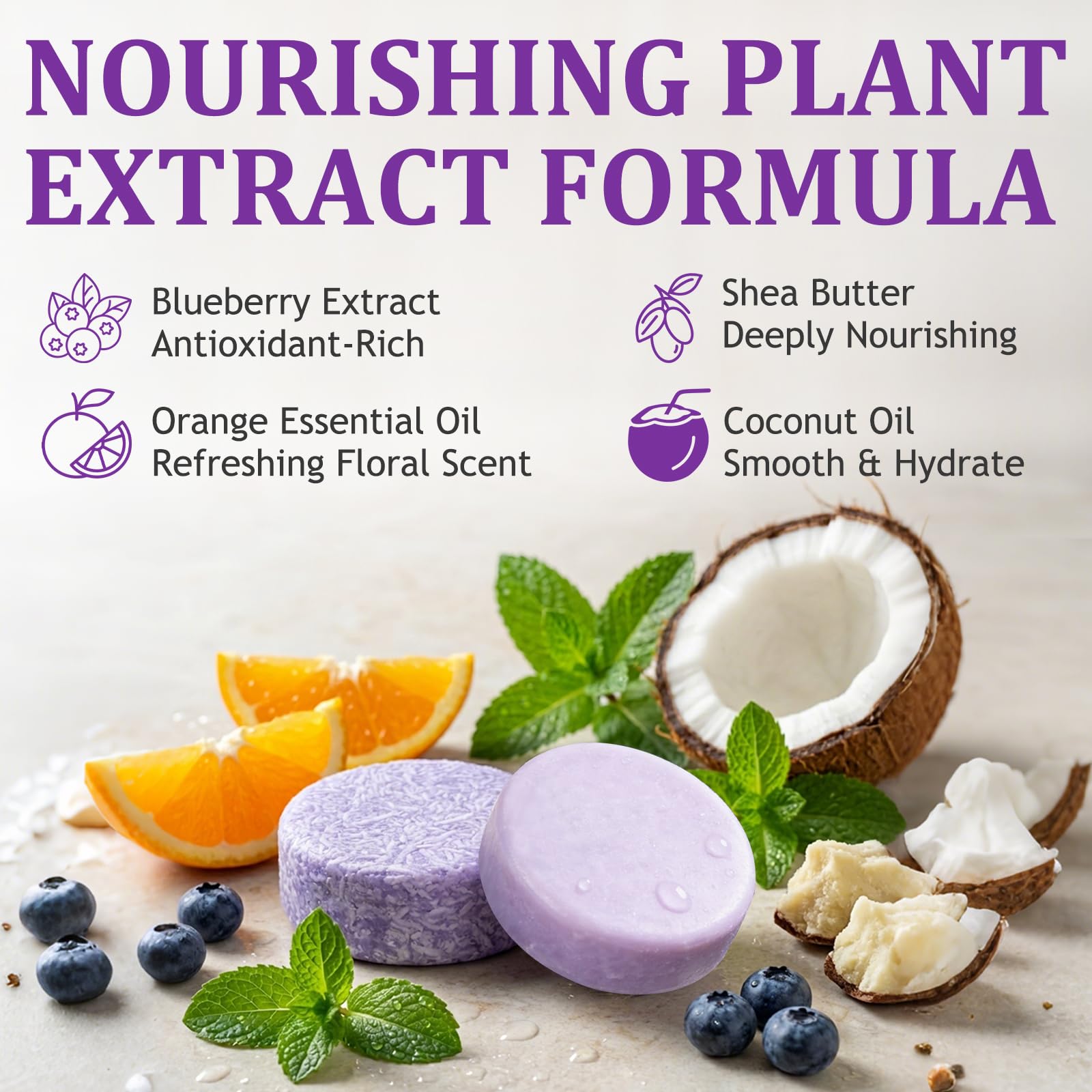 Blueberry Fields Shampoo & Conditioner Bundle – Natural Blueberry Extract for Thinning Hair