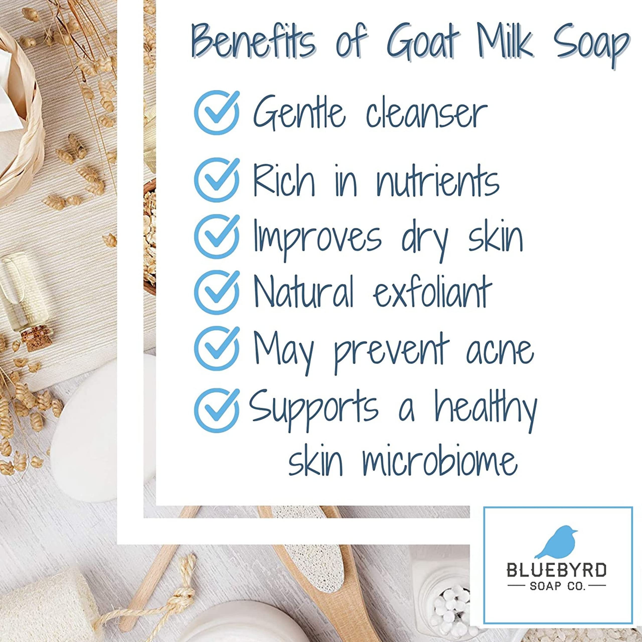 Bluebyrd Soap Co. BLUBYRD Goats Milk Bars Set – 5 Handmade Natural Goat Milk Soaps