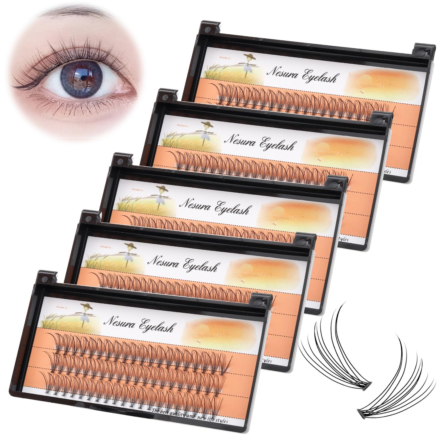 Bodermincer 60pcs Mixed Black Handmade False Eyelashes – 6–16mm, 10D–60D, 5 Packs (11mm)