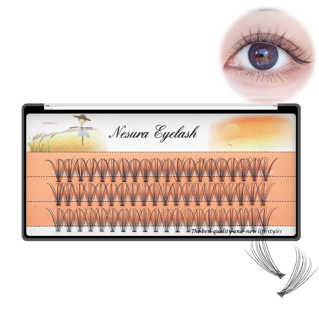Bodermincer 60pcs Mixed Black Handmade False Eyelashes – 6–16mm, 10D–60D, 5 Packs (11mm)