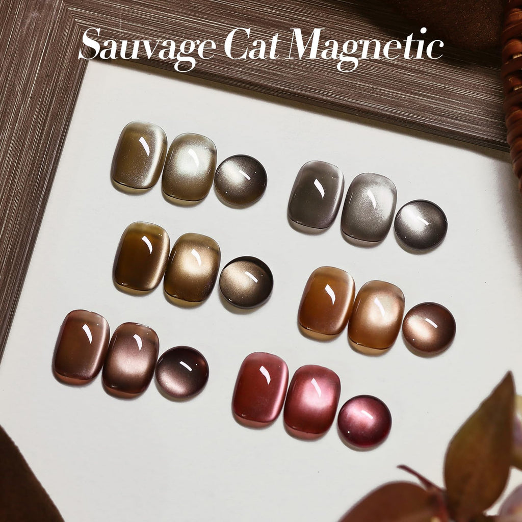 Born Pretty Cat Magnetic Eye Gel Nail Polish Kit – 6 Jelly Glass Polishes