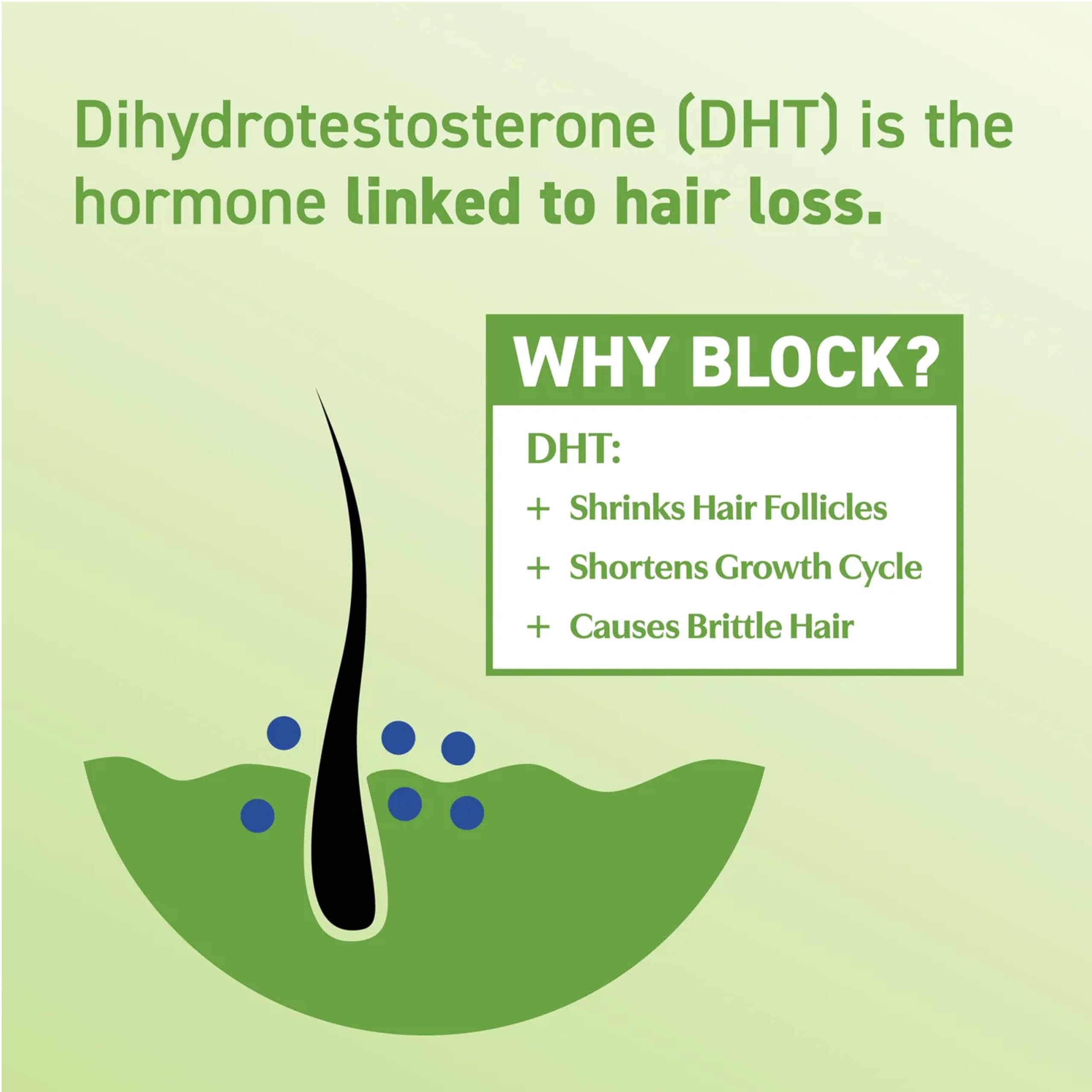 BosleyMD DHT-7 Blend – Natural DHT Blocking Supplements for Thicker, Fuller Hair – 60 Capsules