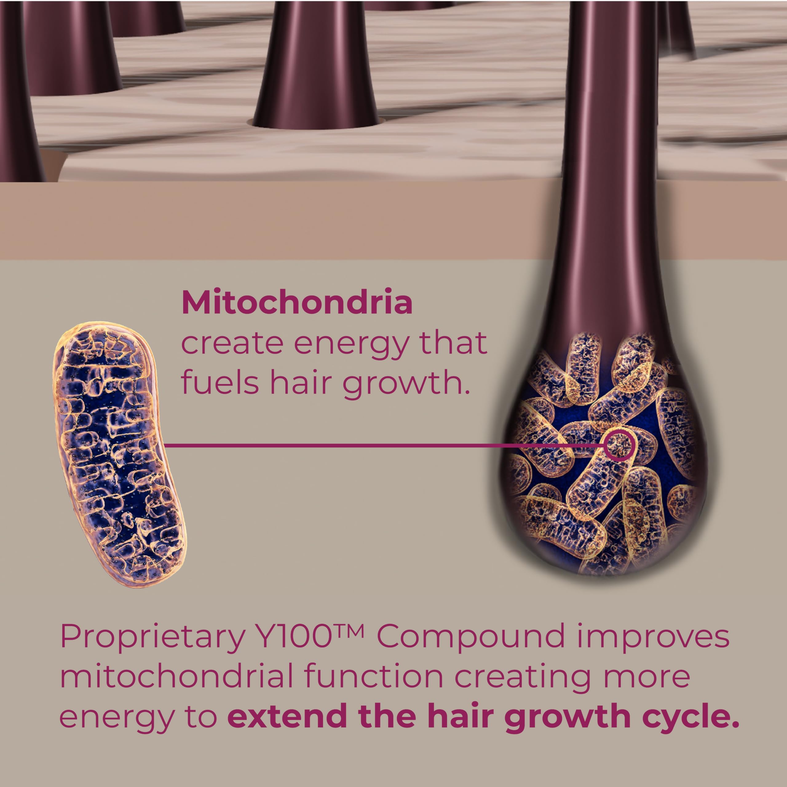 BosleyMD Revive+ Densifying Hair Growth Serum for Women – Drug-Free, AI-Backed Y100