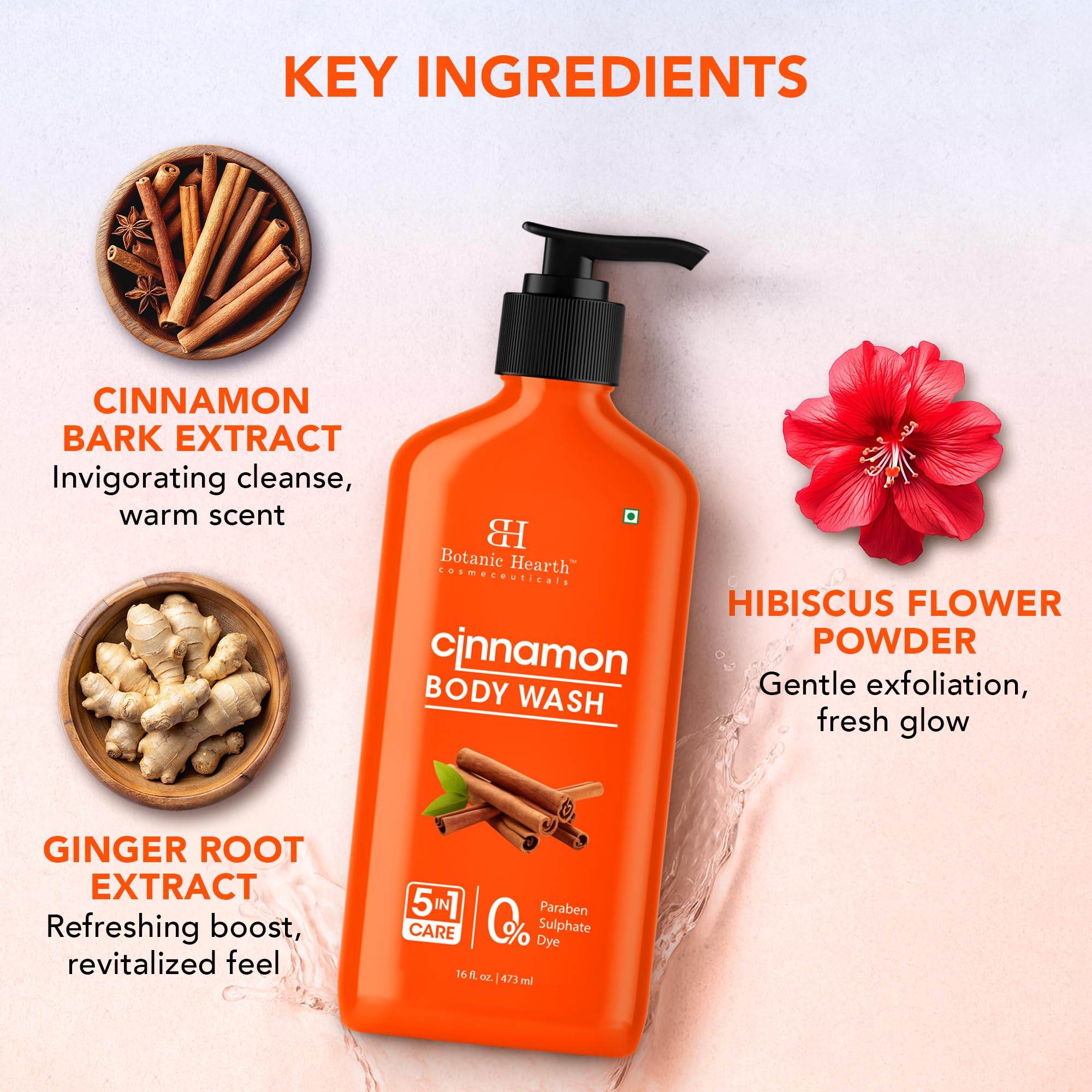 Botanic Hearth Cinnamon Body Wash – 16 oz | 5-in-1 Hydrating Cleanser with Cinnamon Extract | Sulfate & Paraben Free