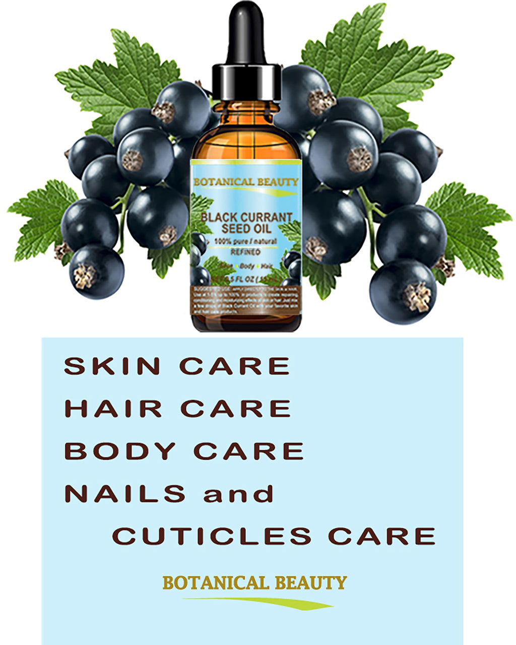 Botanical Beauty Black Currant Seed Oil – 100% Pure, Cold-Pressed Carrier Oil for Skin, Hair, Lip & Nail Care (2 fl oz)
