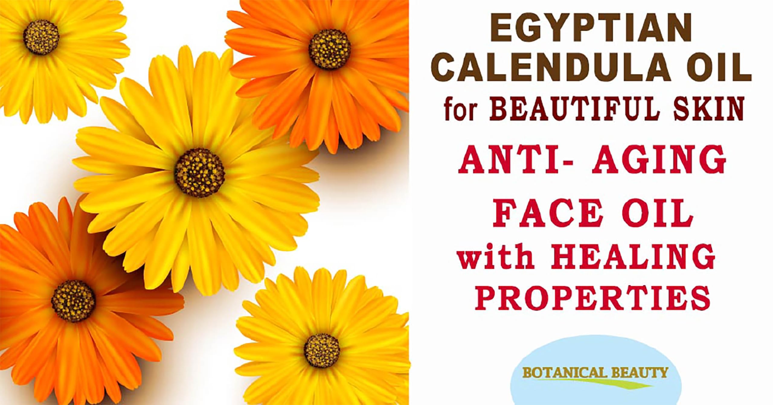 Botanical Beauty Calendula Oil - 100% Pure Egyptian Calendula Officinalis - Face, Skin, Body, Hair, Nails Moisturizer 1 Fl oz / 30 ml