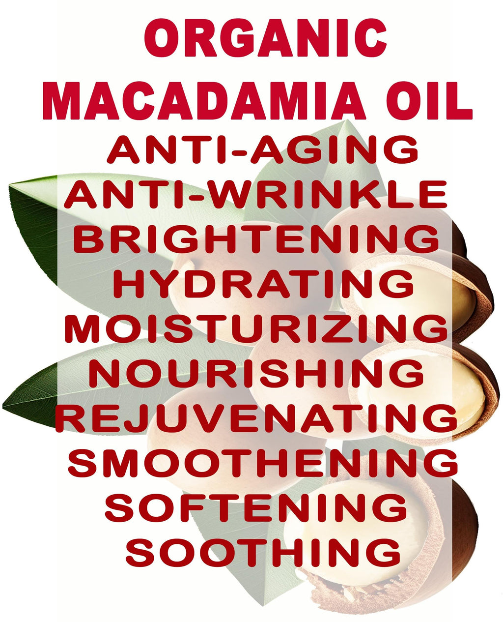Botanical Beauty Organic Macadamia Oil – 100% Pure Virgin Cold-Pressed Carrier Oil (4 oz)