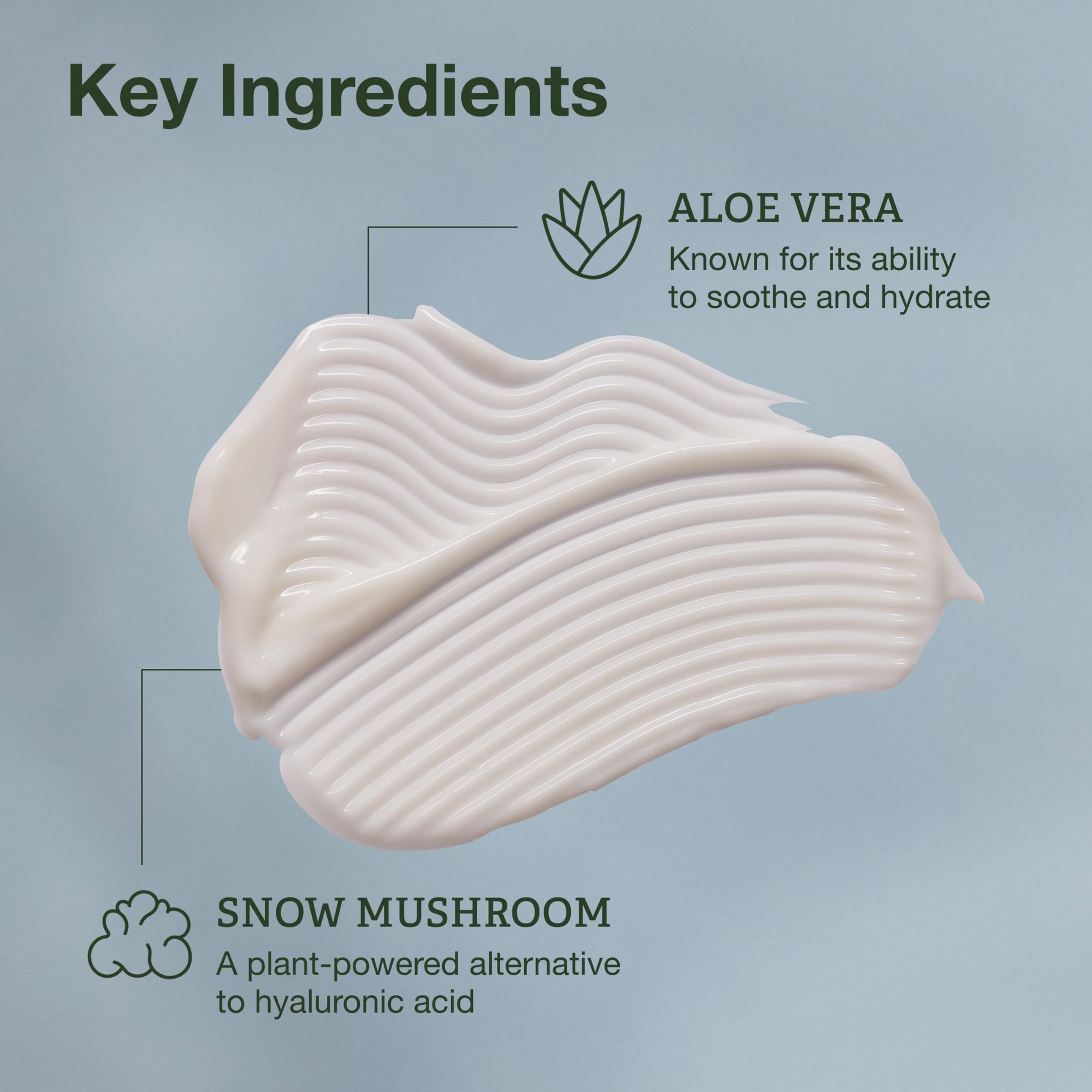 Botanics Lightweight Hydrating Face Moisturizer – Snow Mushroom & Aloe Vera | 48-Hour Hydration
