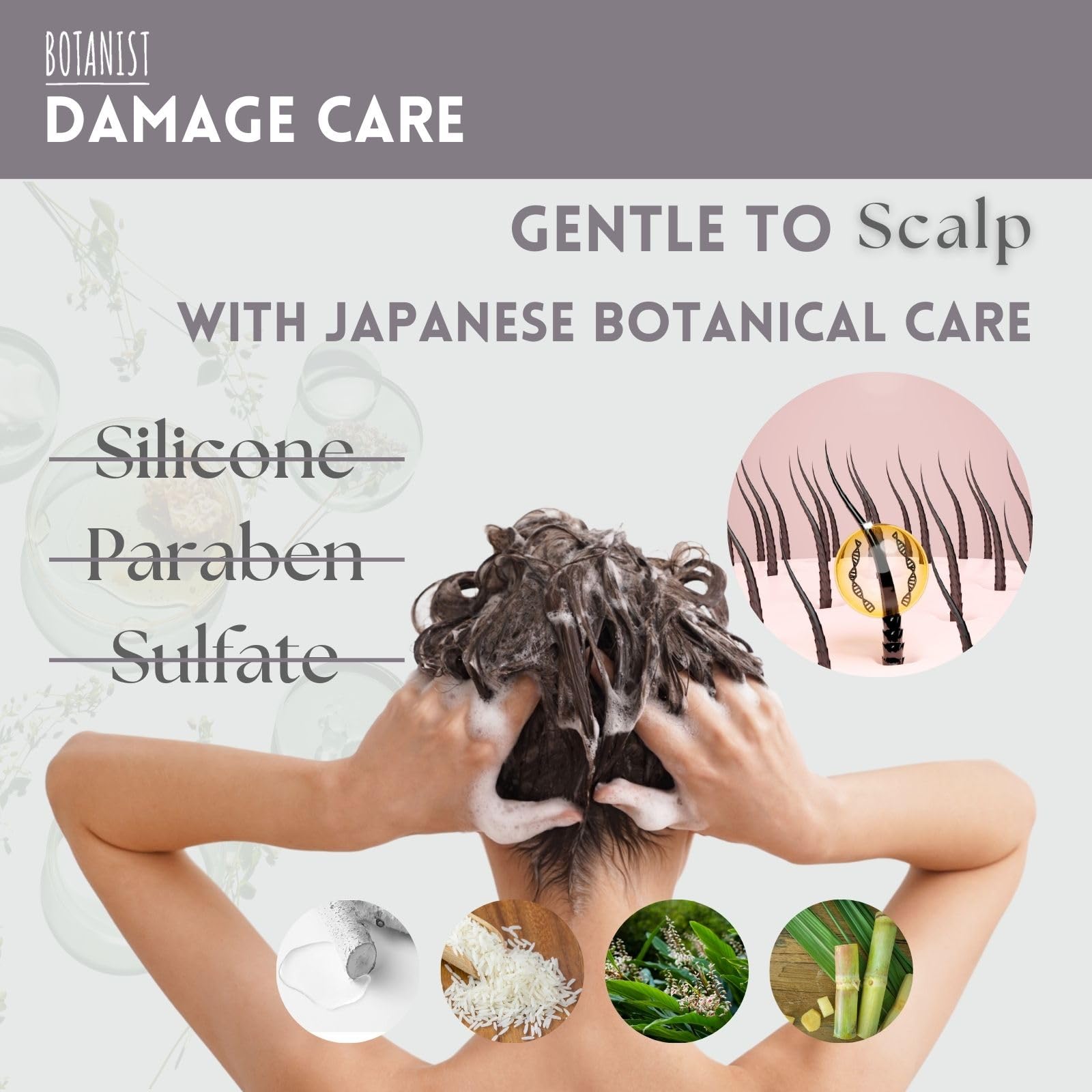 Botanist Organic Shampoo for Color-Treated Hair – From Japan, Paraben & Sulfate Free with Keratin, Proteins, Collagen & Hyaluronic Acid (15.5 oz) Freesia & Cassis