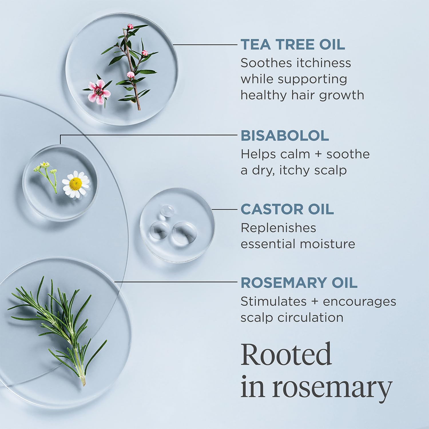 Briogeo Scalp Revival Rosemary Pre-Wash Oil for Hair & Scalp