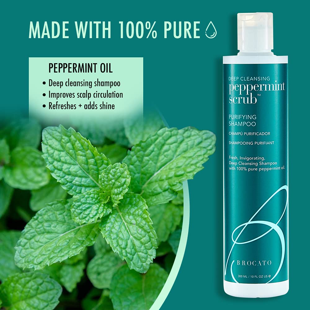 Brocato Peppermint Scrub Purifying Shampoo – Deep Clean, Peppermint Oil, 10 oz | Sulfate & Paraben Free