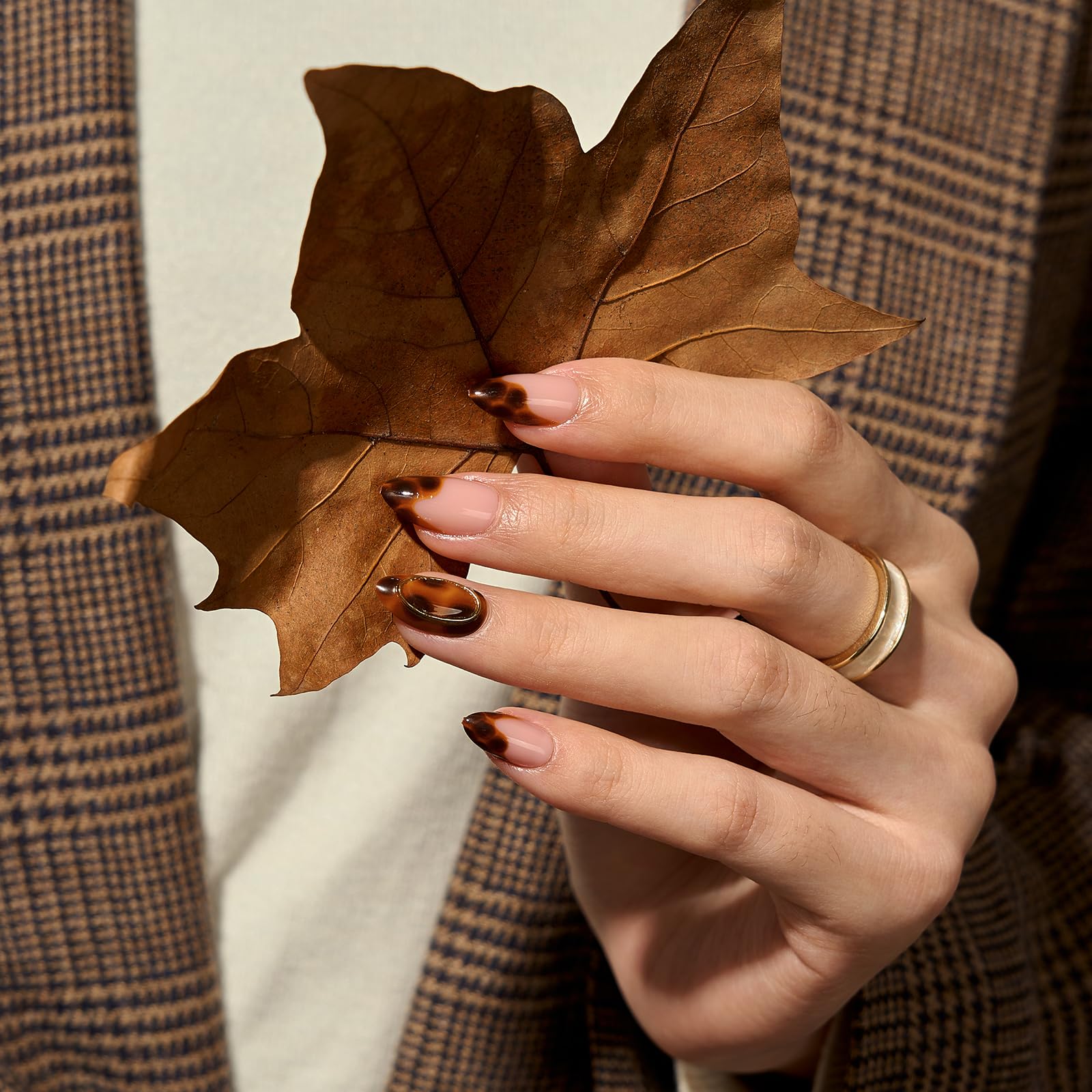 BTArtbox Almond Press On Nails – Amber Hoops & Tortoise Shell Short French Tip Kit