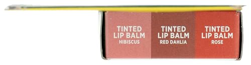 Burt's Bees Holiday Minis Lip Balm — 3-Count Pack | Cruelty-Free Lip Care