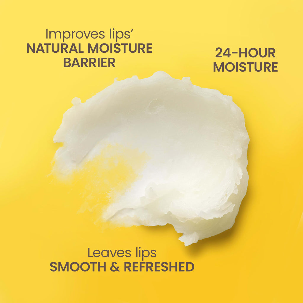 Burt's Bees Christmas Lip Balm Gift Set – Four Flavors: Beeswax, Vanilla Bean, Cucumber Mint & Coconut & Pear