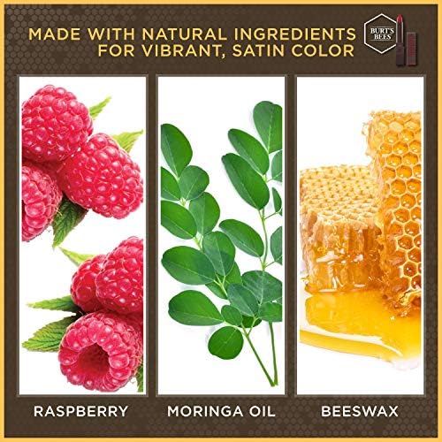 Burt's Bees 100% Natural Moisturizing Lipstick – Nile Nude