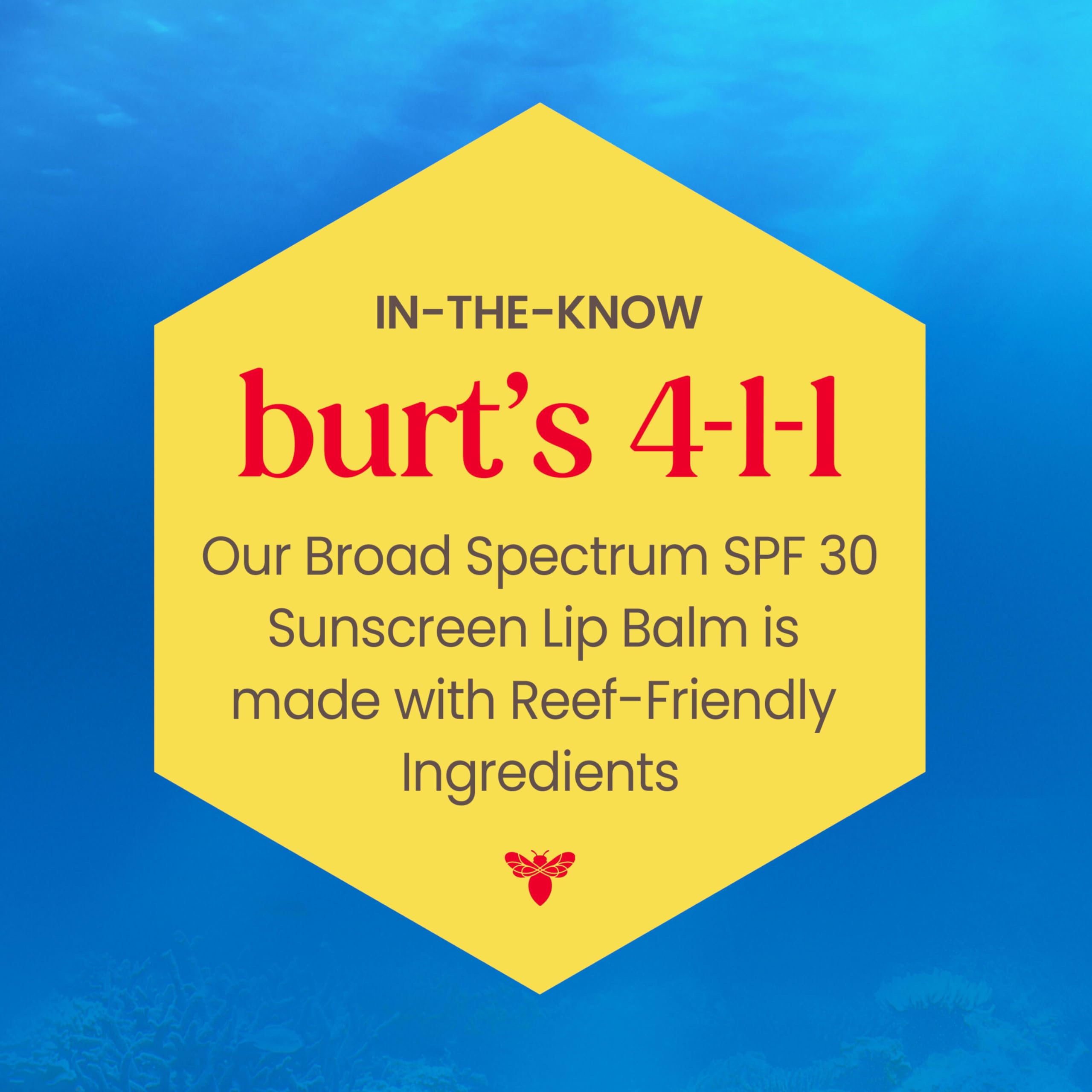 Burt's Bees Beaches and Cream SPF 30 Lip Balm | 3 Tubes, Nano-Free