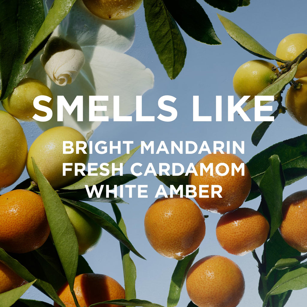 By Rosie Jane Remi Roll-On Perfume Oil — Clean, Travel-Ready 7 ml (Mandarin, Cardamom & White Amber)