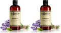 C.O. Bigelow Lavender Peppermint Shampoo - Sulfate-Free, Pack of 2