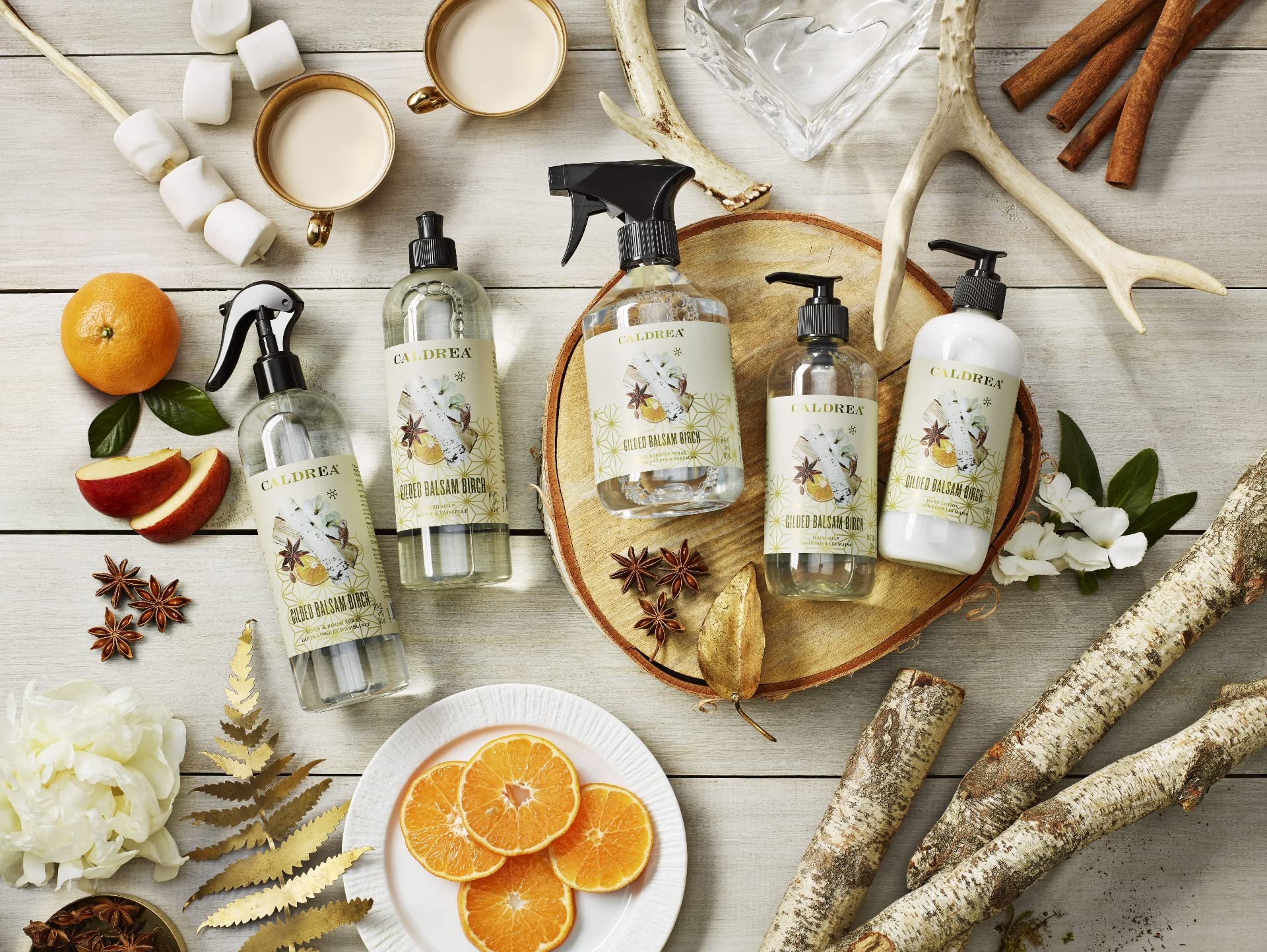 Caldrea Gilded Balsam Birch Hand Soap – Aloe Vera, Olive Oil & Essential Oils | 10.8 Fl Oz