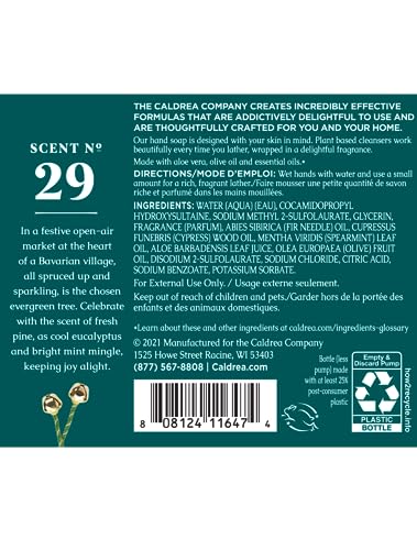 Caldrea Juniper Laurel Mint Hand Soap – Aloe Vera, Olive Oil & Essential Oils | 10.8 oz