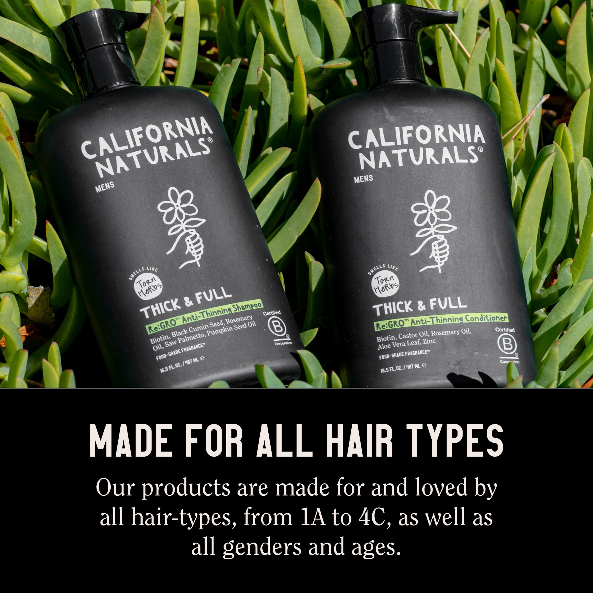 California Naturals Mens Re:GRO Shampoo — Hair Growth Support, Vegan & Cruelty-Free, 20 fl oz