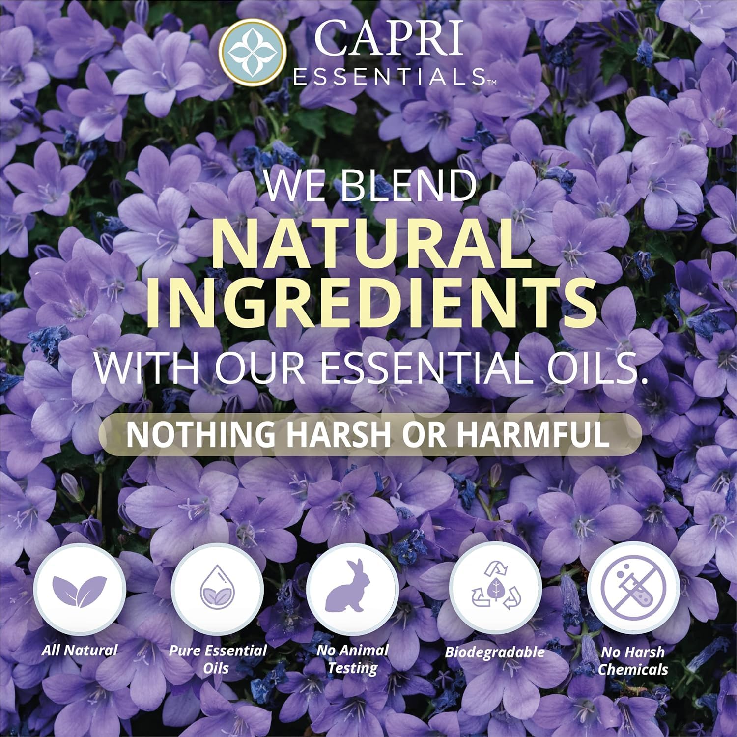 CAPRI ESSENTIALS Hand Soap Liquid – Natural Plant-Based Formula, White Lavender, 16 oz (6 Pack)