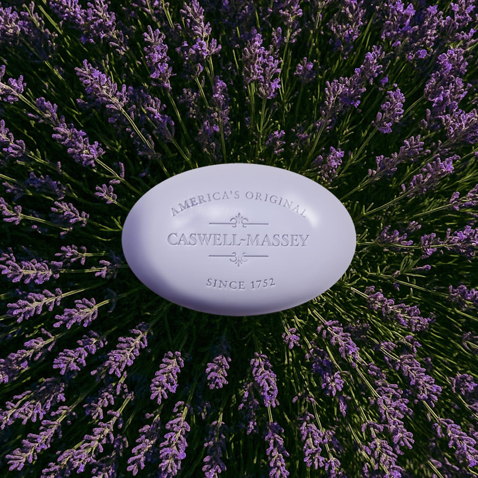 Caswell-Massey Lavender Natural Bar Soap (5.8 oz) | Moisturizing Triple-Milled Bath Bar for Face, Body & Hands