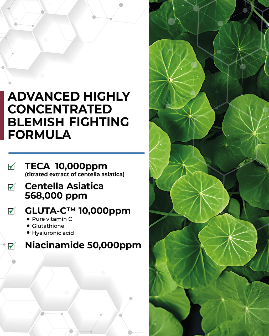 CENTELLIAN 24 Expert Ampoule Season 4 – 3 × 0.5fl oz TECA Centella Serum for Dark Spots