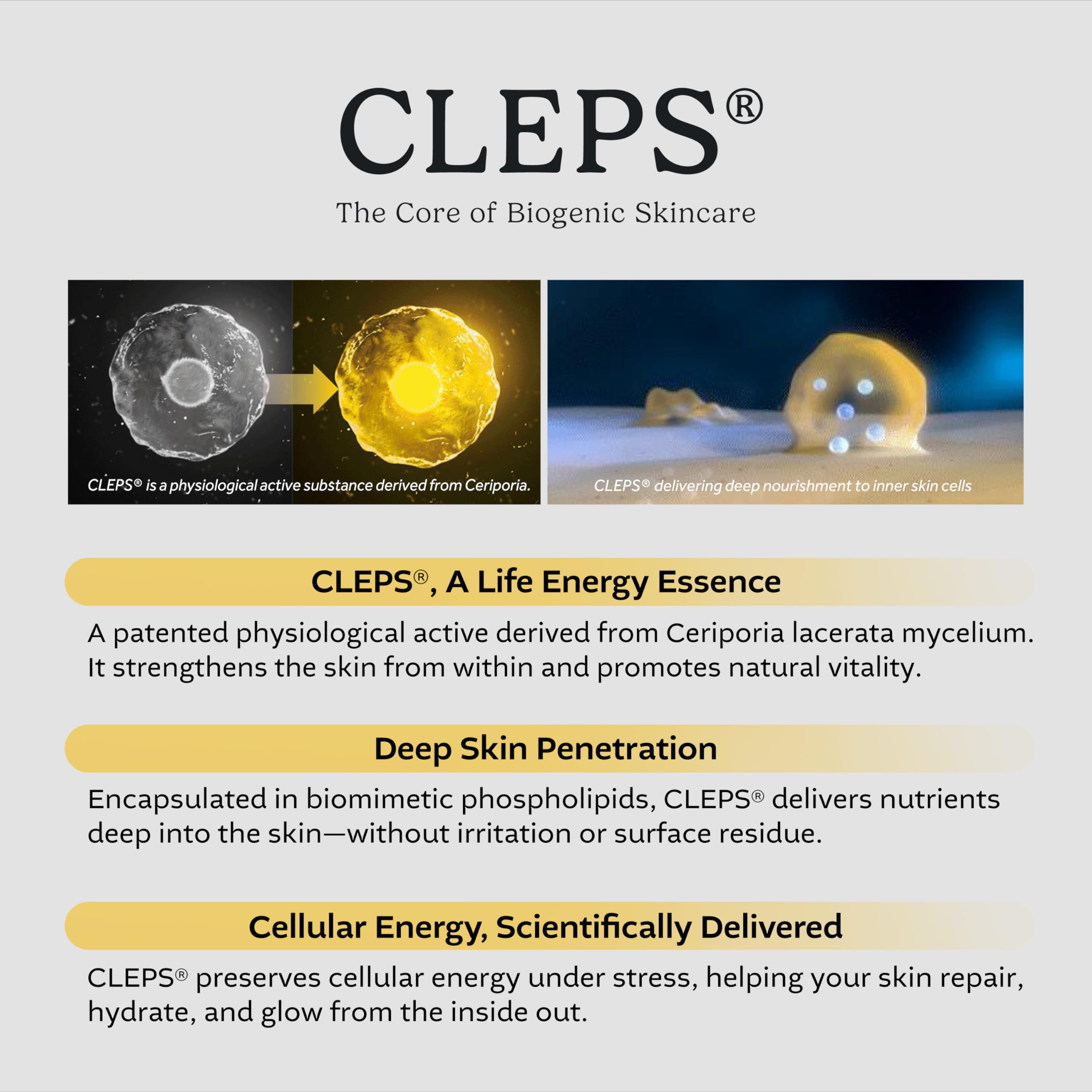 cepoLAB Biogenic Essence 50% CLEPS® Hydrating Serum with Misun Tree Water | Korean Skincare