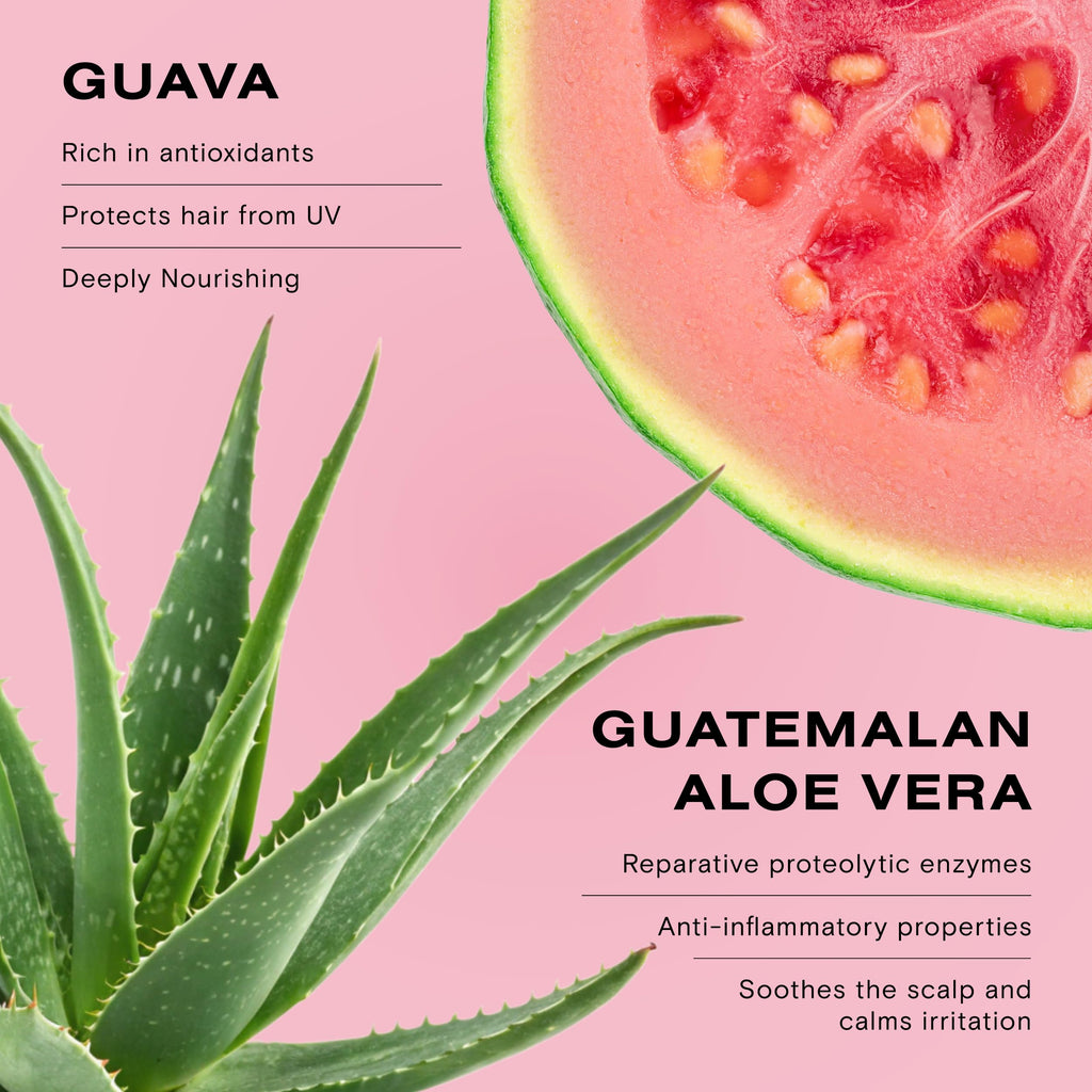 Ceremonia Guava Protect & Repair Conditioner with Aloe Vera – Damaged & Color-Treated Hair (8.45 fl oz / 250 mL)