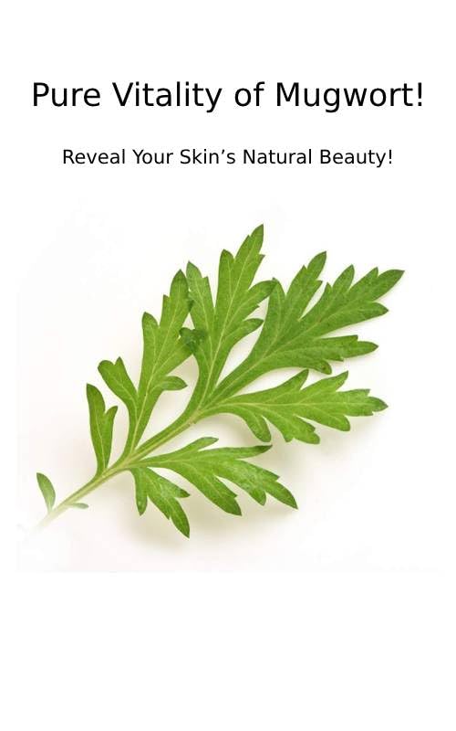 CHARMZONE Mugwort Cream The Original 1.69oz – Deep Hydration & Soothing Moisturizer