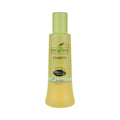 Chihtsai Olive Shampoo — Gentle Cleanse, Moisture Lock, pH-Balanced & Sulfate- and Paraben-Free for Color-Treated Hair | 280ml