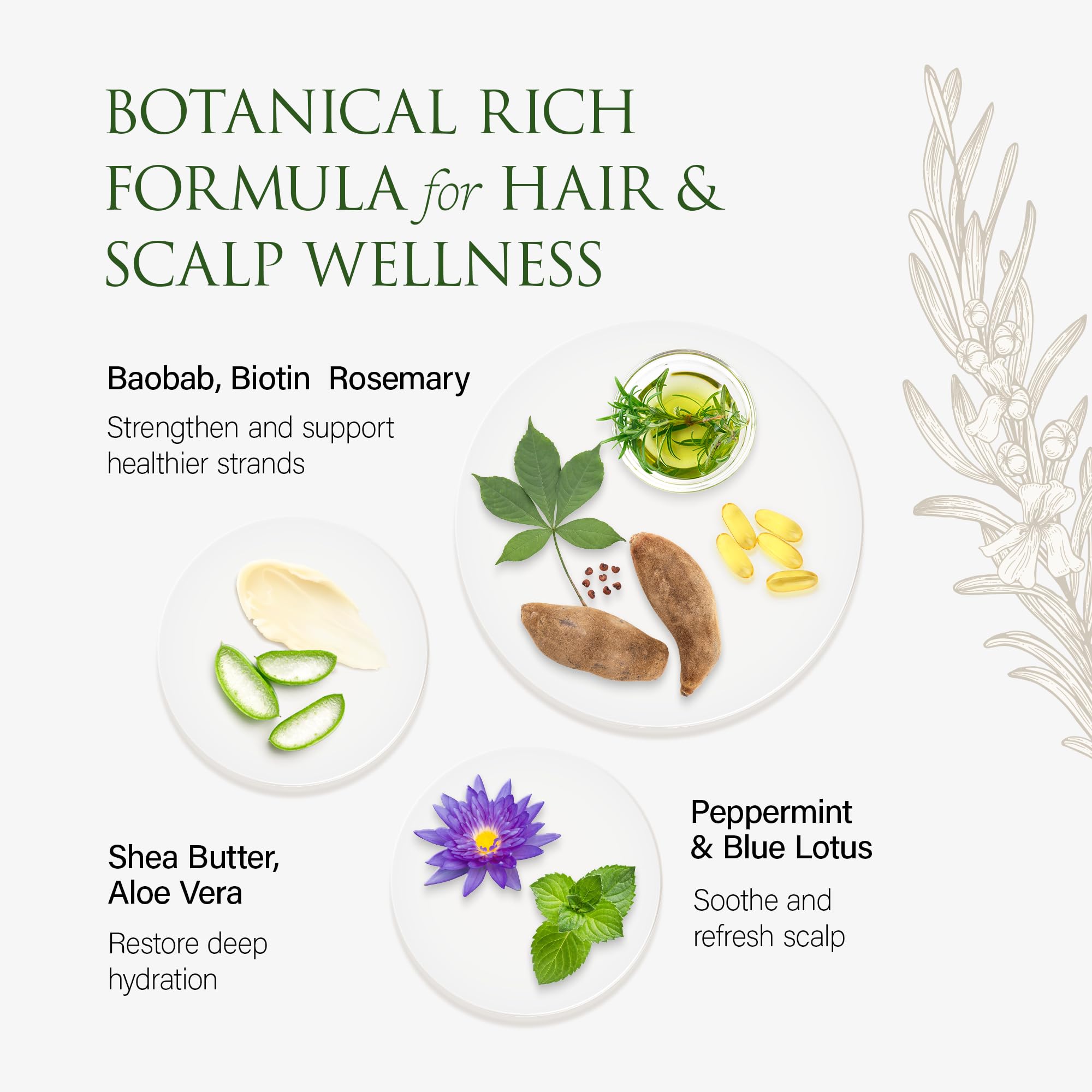 Christina Moss Naturals Conditioner – Organic, Silicone- & Paraben-Free