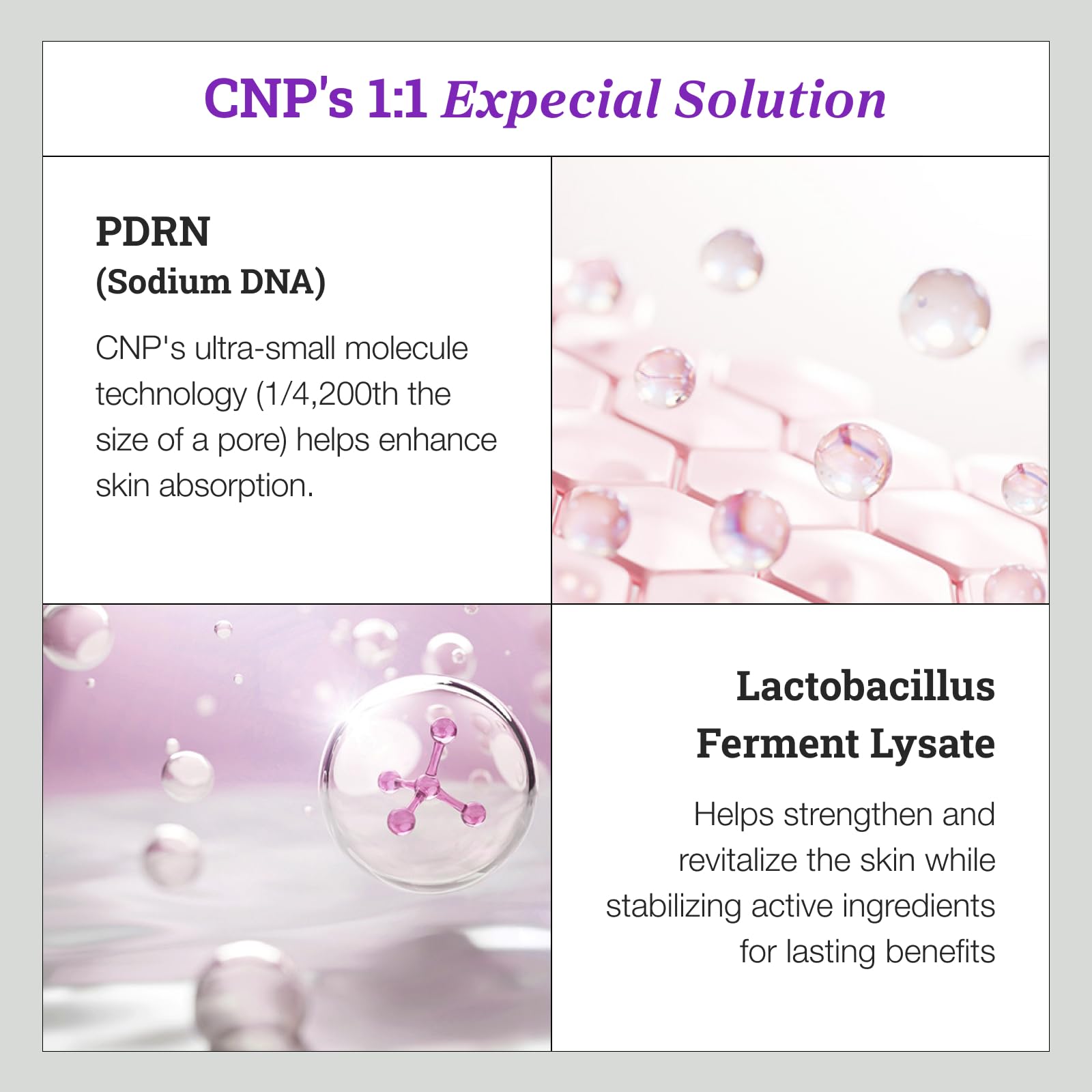 CNP PDRN Active Boost Milky Toner – Salmon DNA with Niacinamide + Rice Water