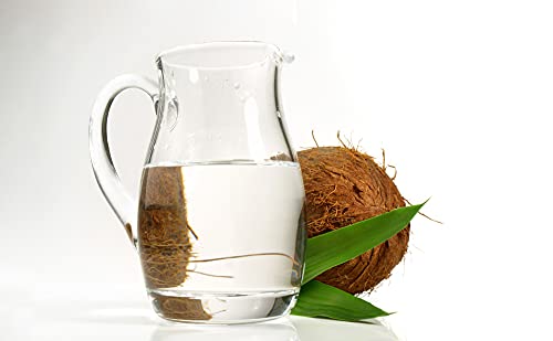 Cocojojo Pure Fractionated Coconut Oil - Steam Distilled, 1 Gallon – Lightweight Carrier Oil for Skin, Hair & Nails