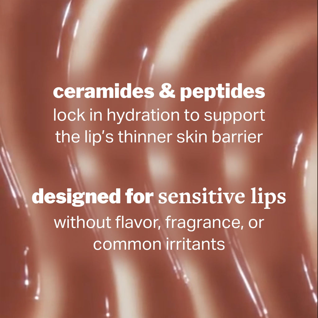 Cocokind Ceramide Lip Blur Balm – Hydrating Soft Brown Lip Balm with Ceramides & Peptides (Fragrance-Free, Sensitive Skin) – 6 Pack