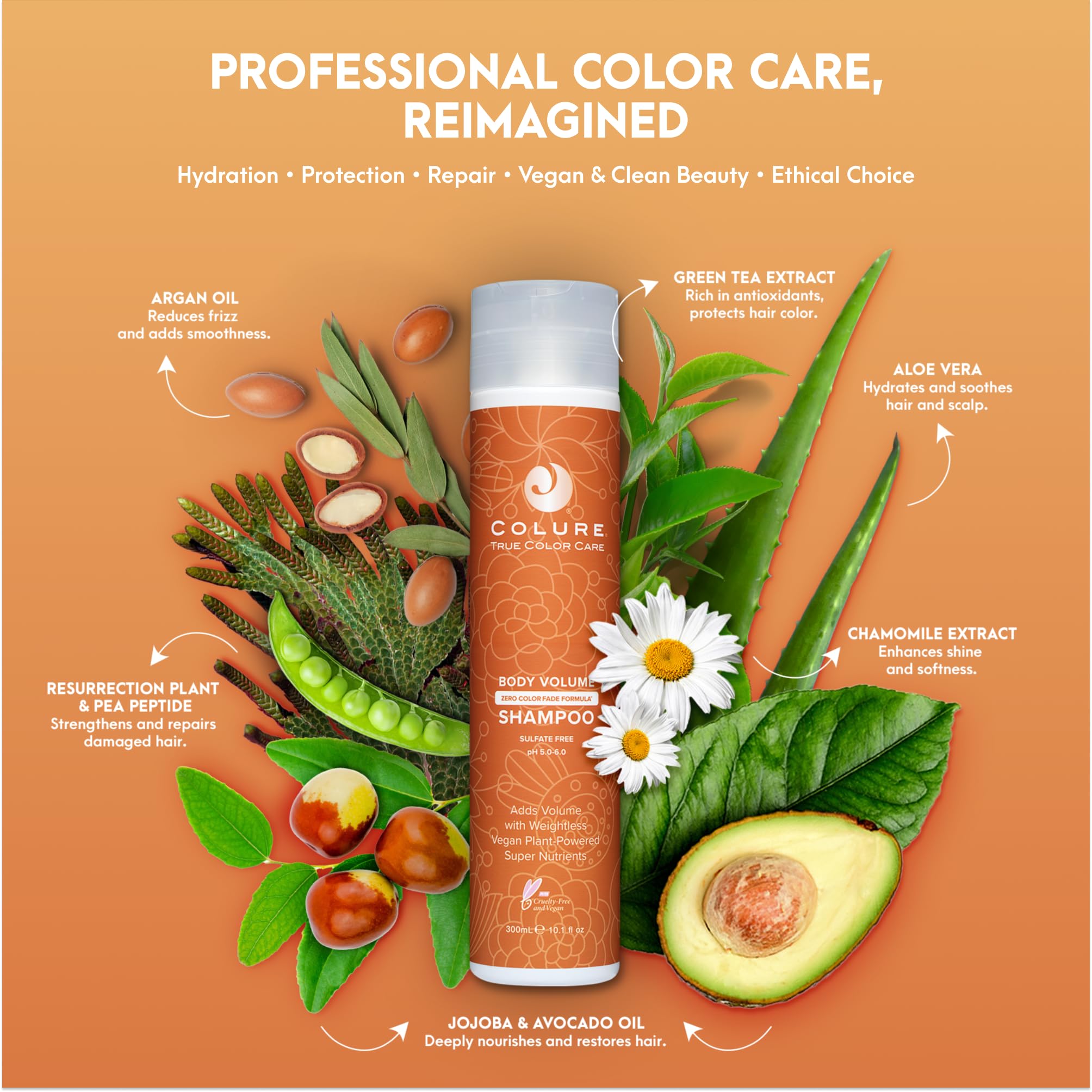 COLURE Body Volume Shampoo | Volumizing Cleanser for Fine Hair, 10 Fl Oz — Sulfate-Free, Color Care