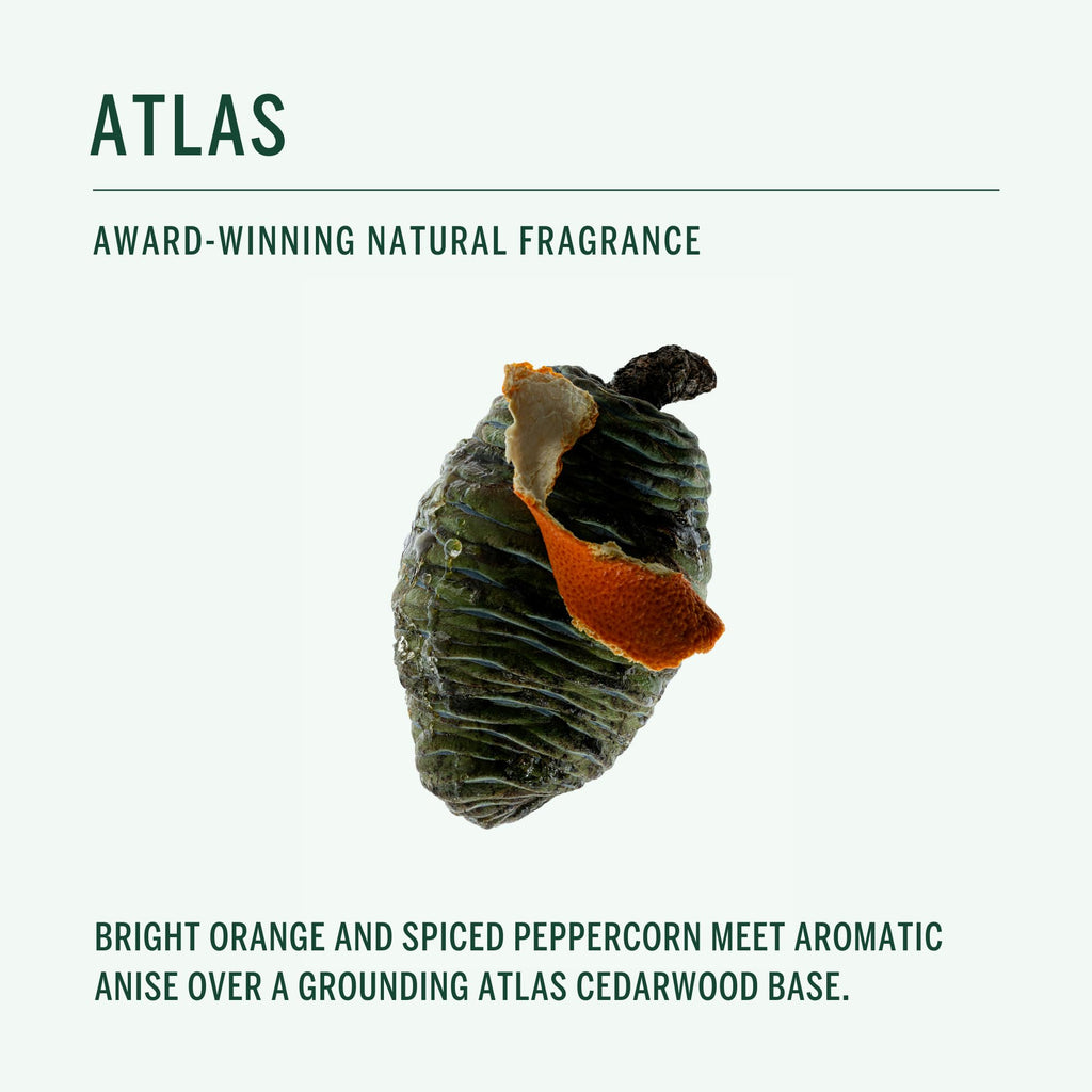 CORPUS Natural Deodorant Stick for Sensitive Skin | Aluminium & Baking Soda Free | Made in USA (Atlas)