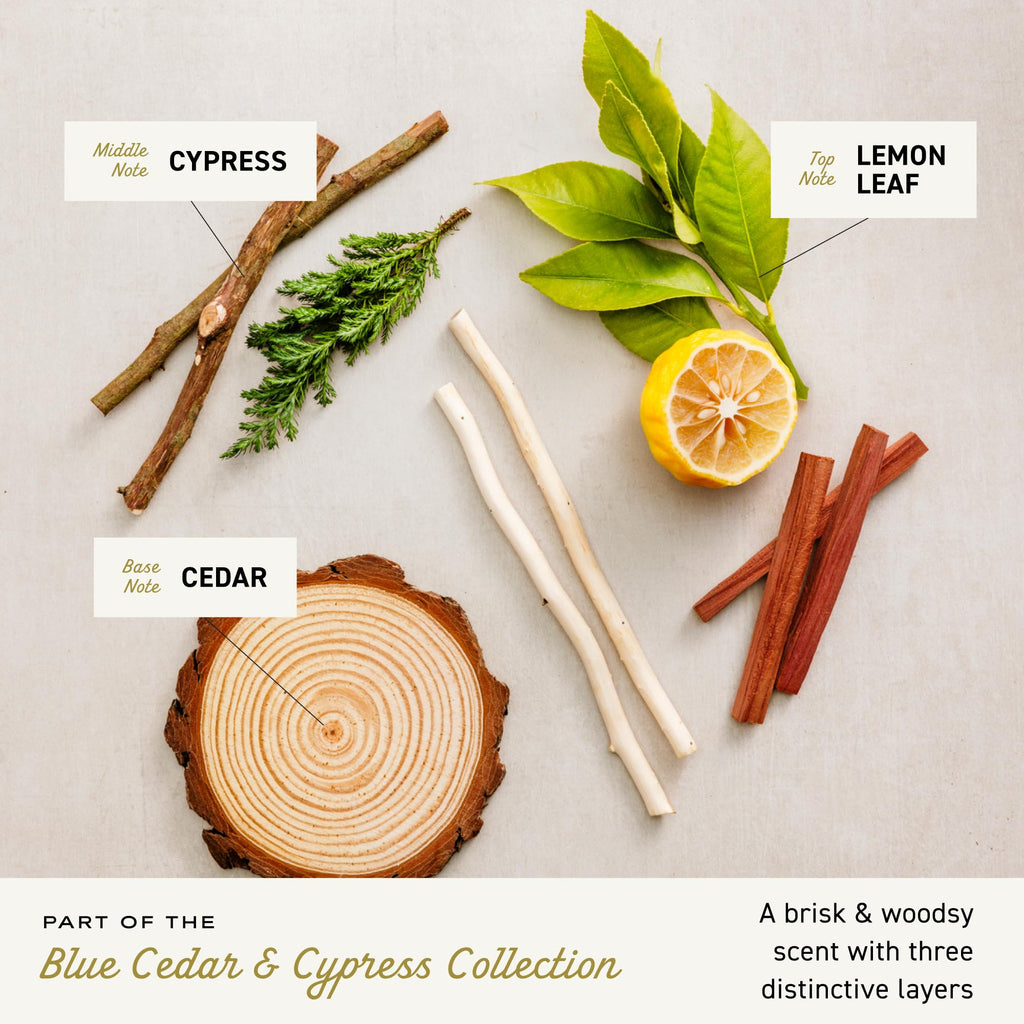 Cremo Cologne for Men - Blue Cedar & Cypress | Woodsy Scent