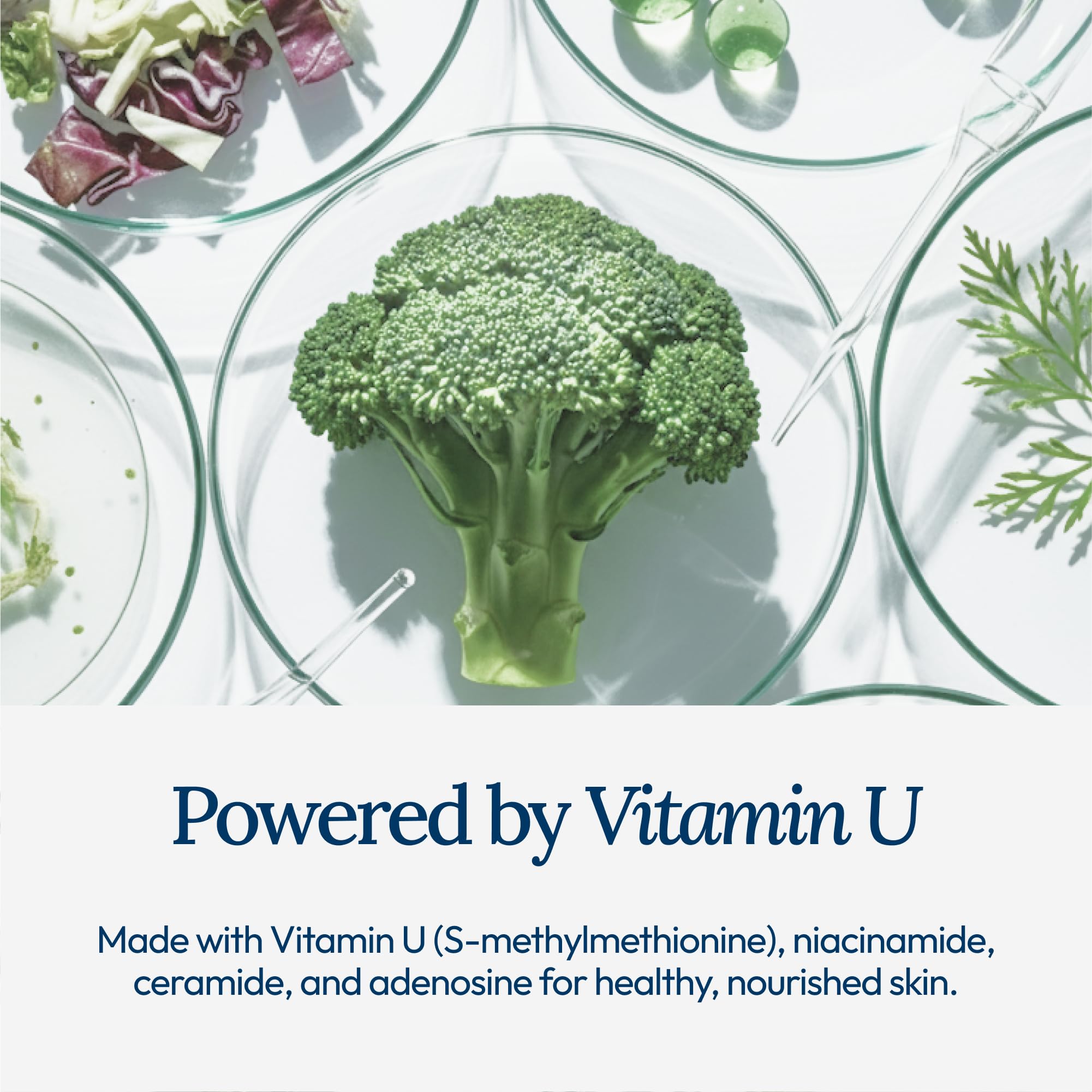 CU: VITAMIN U Moisturizing Cream for Face | Korean Skincare with Adenosine, Niacinamide & Ceramide (50ml)