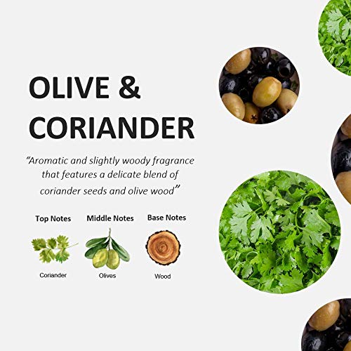Cucina Purifying Hand Wash Refill – 2 x 1L, Coriander & Olive Tree, Made in Canada